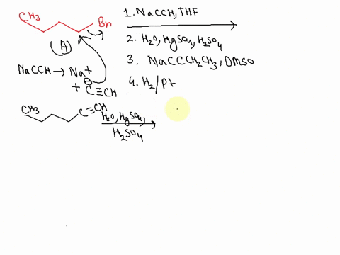 04-question-1point-predict-the-major-organic-product-for-the-following-reaction-sequence-1-nacch-thf-2-h2o-h2s04-hgso4-hac_-br-3-naccch2ch3-dmso-4-h2-pdlc-94694