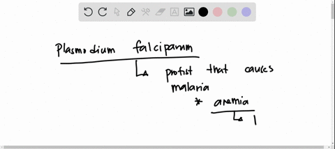 plasmodium-falciparum-is-a-parasitic-protist-that-can-be-carried-among-host-organisms-by-a-mosquito-infection-generates-anemia-via-process-of-1-infecting-the-bone-marrow-of-its-hosts-2-causi-07936