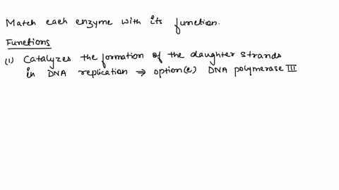 14-match-each-enzyme-with-its-correct-function-by-writing-the-correct-alphabetical-letter-in-the-blank-space-provided-5-marks-enzynte-helicase-veme-gyrase-dna-polymerase-iii-dna-ligase-08r-r-18067