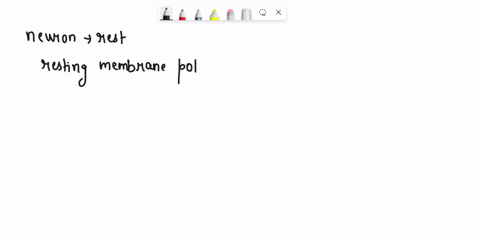place-the-events-leading-to-nerve-impulse-conduction-in-order-starting-when-the-neuron-is-at-rest-choose-choosa-tons-dilfuse-outward-repokarizing-t-membrane-ncuron-reccives-stimulation-c-usi-00484