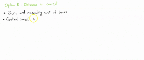 tne-repeating-unit-of-bone-cells-found-in-circular-arrangement-would-be-called-osteoblasts-b-osteons-periosteum-osteoclasts-75441