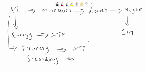 what-molecule-is-required-in-facilitated-and-active-transport-when-a-large-molecule-cannot-naturally-diffuse-through-the-membrane-04154