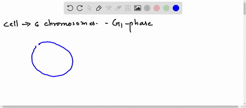 2-meiosis-questiona-draw-a-cell-containing-six-chromosomes-3-homologous-pairs-in-g1-phase-before-dna-replication-in-s-phase-make-it-clear-which-chromosomes-are-members-of-a-pair-remember-hom-46756