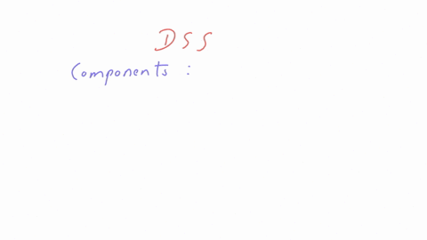 decision-support-systems-dss-are-popular-because-they-aid-corporations-in-decision-making-activities-that-require-judgment-and-taking-action-dss-is-made-up-of-different-components-which-one-of-the-fol