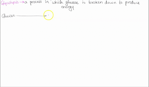 glycolysis-results-in-the-production-of-two-_____-molecules-from-a-single-molecule-of-glucose-in-the-72565