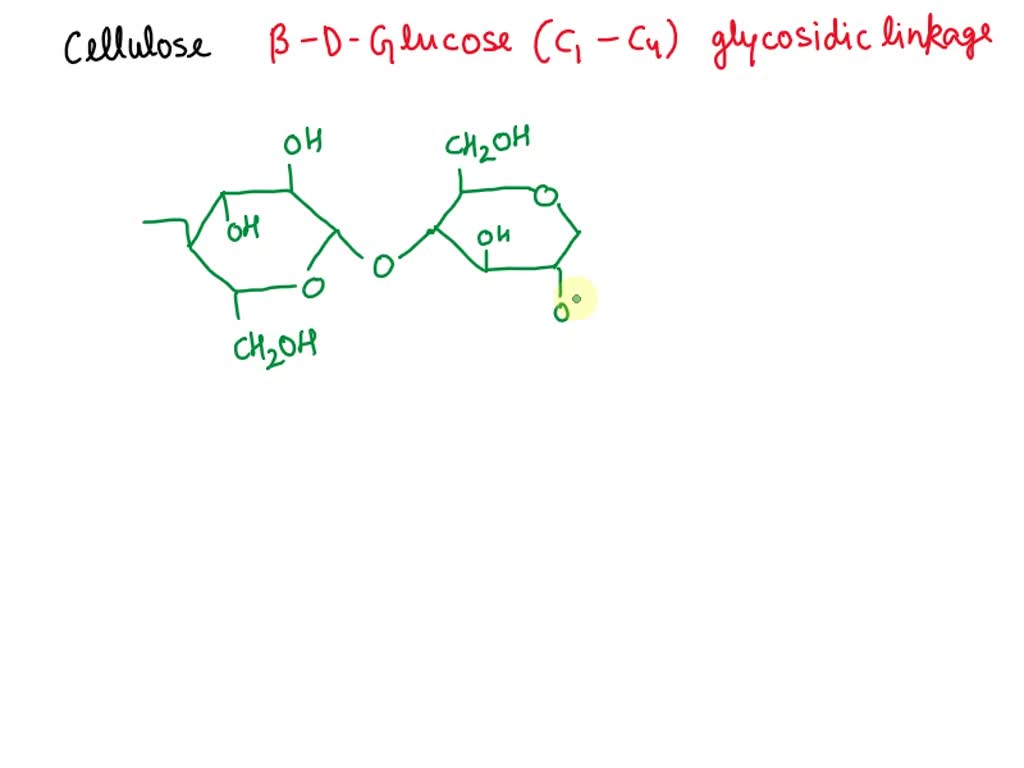 SOLVED 'Draw segment of polymer (cellulose) molecule, anC Bhow how