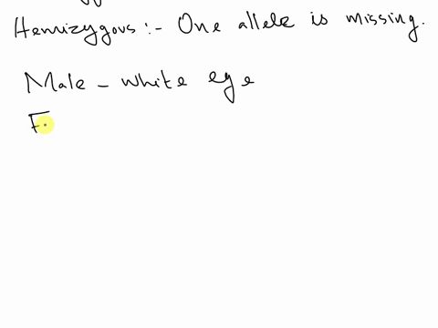 what-ratio-of-offspring-would-result-from-a-cross-between-a-white-eyed-male-and-a-female-that-is-het-04822