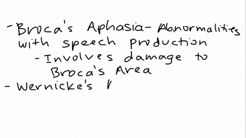 what-are-the-different-types-of-aphasia-syndromes-44481