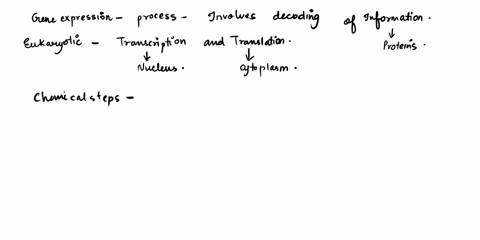 central-dogma-gene-expression-involves-many-sequential-chemical-steps-it-is-important-to-keep-track-of-the-order-of-these-steps-in-the-overall-process-of-gene-expression-organize-the-chemica-66697