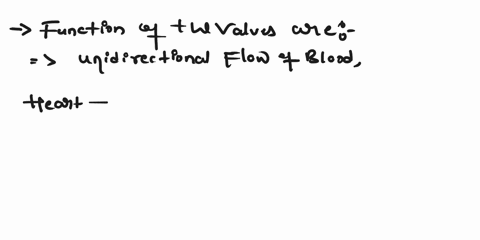 what-is-the-function-of-valves-in-the-human-circulatory-system-18268