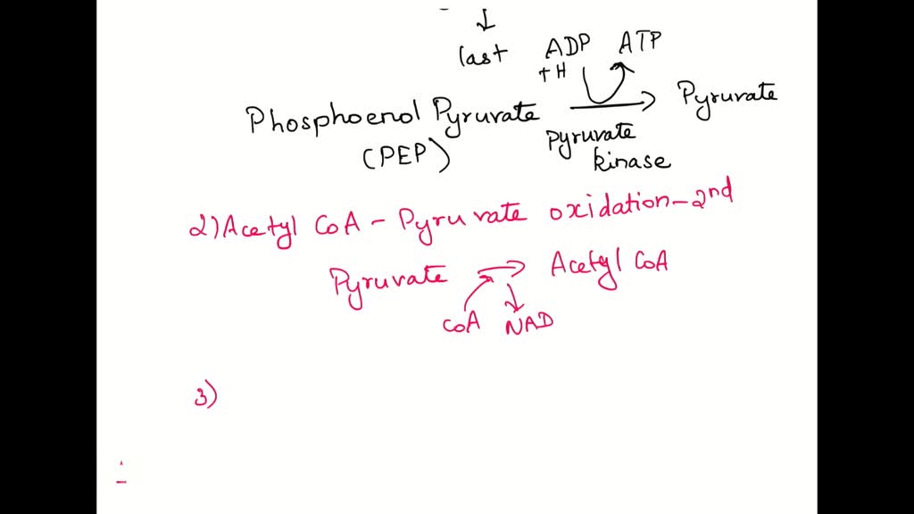 SOLVED (Multiple Select) Hydrolysis occurs in the mechanism for which glycolytic enzyme(s