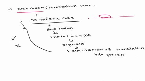 17in-the-genetic-code-within-transfer-rna-stop-codon-or-termination-codon-is-_-trna-that-signals-nucleotide-triplet-termination-of-translation-into-proteins-true-false-85158