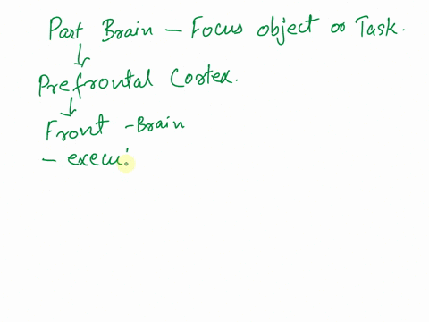 which-part-of-the-brain-help-us-to-focus-on-the-object-78142