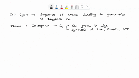 describe-what-will-happen-to-a-cell-if-interphase-happens-but-mitosis-does-not-93314