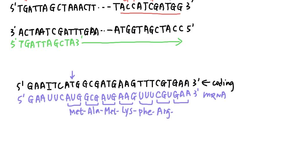 SOLVED: You are using zebrafish (a type of fish) to study a specific ...