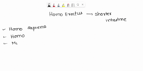 modern-humans-and-probably-homo-erectus-have-much-shorter-intestines-than-expected-for-primates-of-their-size-what-possible-change-in-hominin-technology-may-account-for-this-group-of-answer-13485