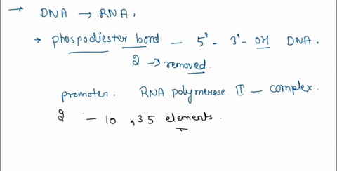 incorrect-question-3-0-1-pts-the-process-of-transcription-involves-all-of-the-following-except-temporaniv-separating-lwo-dna-strard-40-lal-ona-stranr-can-scrve-j5-4-template-for-rna-producti-92336