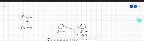 glycosidic-bond-is-formed-between-two-sugar-molecules-this-process-can-be-described-as-a-reaction-between-two-sugar-molecules-that-always-results-in-a-branch-like-structure-dehydration-react-52668