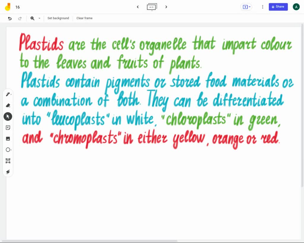 SOLVED Identify plant cells and tissued that are nonliving at maturity