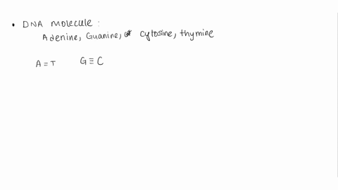 the-bases-are-paired-by-____-bonds-along-the-axis-of-the-molecule-22748