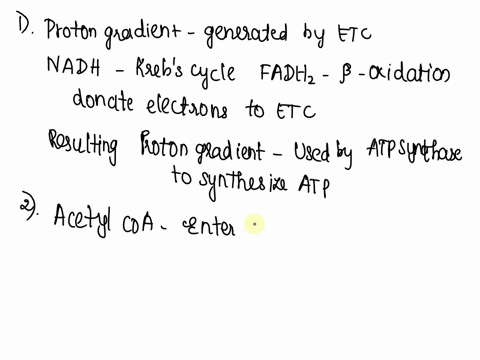 the-figure-below-shows-the-processes-of-glucose-and-fat-catabolism-in-liver-cells-glucose-fatty-acids-pyruvate-citrate-acetyl-coa-krebs-cycle-describe-how-the-process-of-atp-synthesis-which-50938