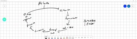 question-8-05-pts-which-of-the-following-combinations-of-products-would-result-from-three-acctyl-coa-molecules-entering-the-citric-acid-cycle-1-atp-coz-nadh-and-fadhz-atp-co2-nadh-and-fadhz-18443