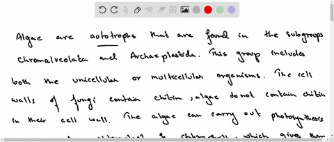 short-answer-why-are-algae-not-considered-parasitic-90913