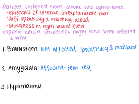 a-patient-who-is-admitted-to-the-hospital-after-a-stroke-suffers-from-the-following-symptoms-episodes-of-intense-unexplainable-fear-difficulty-speaking-and-reading-aloud-and-blindness-in-his-21154