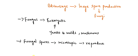 what-are-the-advantage-of-the-large-numbers-of-spores-produced-by-fungi-04798
