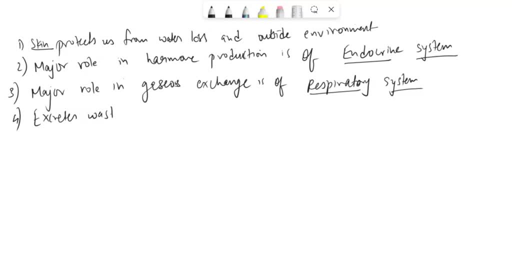 SOLVED These questions are based on the Amoeba Sisters video recap