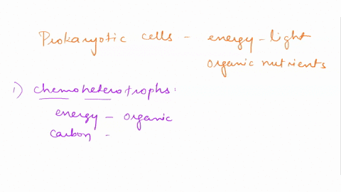 prokaryotes-which-obtain-energy-from-light-and-need-organic-nutrients-to-make-other-organic-compounds-are-called-select-one-a-chemoheterotrophs-b-chemoautotrophs-c-photoheterotrophs-d_-photo-97498