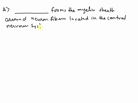 fill-in-waxh-blank-below-with-the-correct-name-of-neuroglia-iifill-in-each-blank-below-with-the-correct-name-of-neuroglia-a-the-central-nervous-system-forms-the-myelin-sheath-around-neuron-f-45082