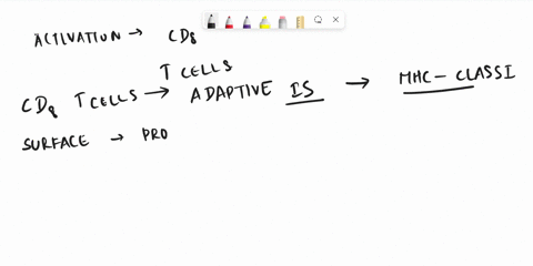 choose-trom-the-following-o-construct-the-steps-ol-antigen-processing-o-activate-cd8-t_-correct-order-not-all-steps-may-be-needed-colla-intna-complex-is-transported-t0-the-cell-surtace-2-com-01578