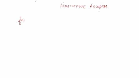 muscarinic-receptors-are-present-only-in-28-parasympathetic-system-true-false-60811