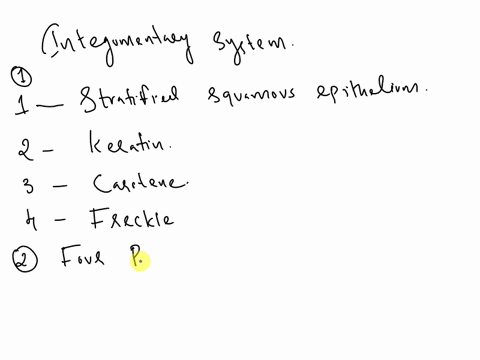 the-integumentary-system-basic-structure-of-the-skin-l-complene-the-following-statements-by-the-two-basie-es-of-which-the-skin-is-ed-are-dense-irregudar-whichforms-the-3-using-the-key-choice-95403