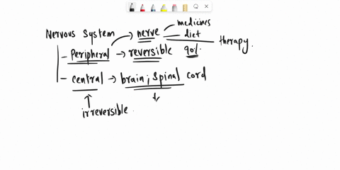 explain-why-damage-to-peripheral-nerve-fibers-is-often-reversible-whereas-damage-to-cns-fibers-rarel-28899