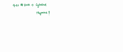 25-cytosine-makes-up-40-of-the-nucleotides-in-a-dna-from-an-organism-what-percentage-of-thymine-1-point-60-20-40-10-43493