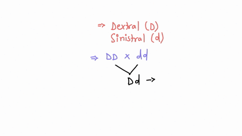 dextral-d-and-sinistral-d-shell-coiling-in-the-water-snail-limnaea-peregra-is-genetically-determined-by-a-maternal-effect-gene-from-a-population-of-mixed-sinistral-and-dextral-snails-a-sinis-02897