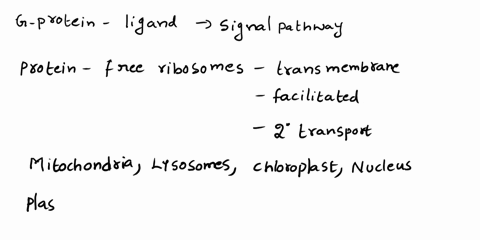 what-are-the-two-general-possible-signaling-pathways-follow-after-g-protein-coupled-receptor-binds-to-its-ligand-molecules-involved-that-can-list-43907
