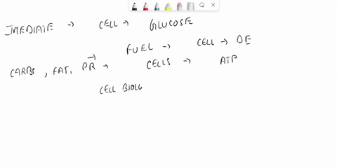 which-carbohydrate-can-be-used-by-the-body-as-an-immediate-source-of-energy-glucose-cellulose-chitin-glycogen-i-think-glucose-59908