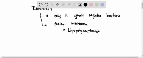 which-part-of-the-outer-membrane-of-gram-negative-bacteria-get-mutated-may-loose-its-ability-to-act-as-endotoxin-a-the-core-polysaccharide-of-lps-bthe-o-antigen-of-lps-c-the-lipid-a-tail-of-84256