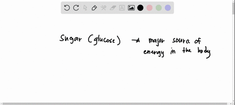 _____-are-the-richest-energy-source-in-the-body-a-sugars-b-proteins-c-fats-d-nucleic-acids-24148