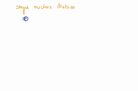 four-of-the-five-answers-listed-below-are-stages-of-actual-nuclear-division-select-the-exception-a-telophase-b-metaphase-c-anaphase-d-interphase-e-prophase-55204