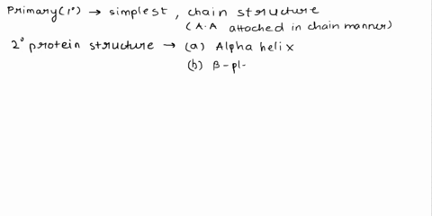 week-11-chapter-19-homework-levels-of-structure-in-proteins-20-of-38-part-a-complete-the-following-vocabulary-exercise-relating-to-the-level-of-structure-in-proteins-match-the-words-in-the-l-67116
