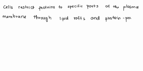 describe-the-different-methods-that-cells-use-to-restrict-proteins-to-specific-regions-of-the-plas-3-84901