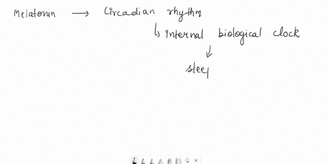 assessmentquestion-41-which-of-the-following-hormones-contributes-to-setting-the-circadian-rhythm-insulin-melatonin-somatomedin-epinephrine-33795