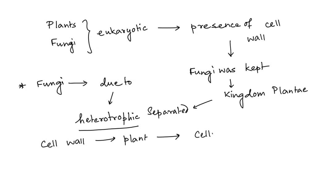 solved-plants-have-cell-walls-fungi-have-cell-walls-and-yet-evolutionary-biologists-do-not