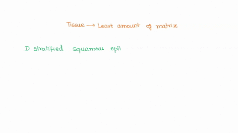 which-one-of-the-following-tissues-has-the-least-amount-of-matrix-a-osseous-tissue_-b-dense-irregular-connective-tissue-areolar-connective-tissue-stratified-squamous-epithelium-66162
