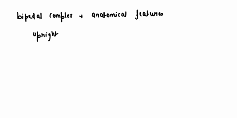 what-is-the-bipedal-complex-besides-the-definition-name-at-least-four-specific-characteristics-please-organize-the-characteristics-you-name-from-head-to-toe-56692