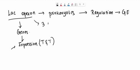 when-lactose-is-present-in-the-environment-the-lac-operon-is-transcription-occurs-to-produce-enzymes-that-catalyzes-the-sugar-select-one-a-false-b-true-14257